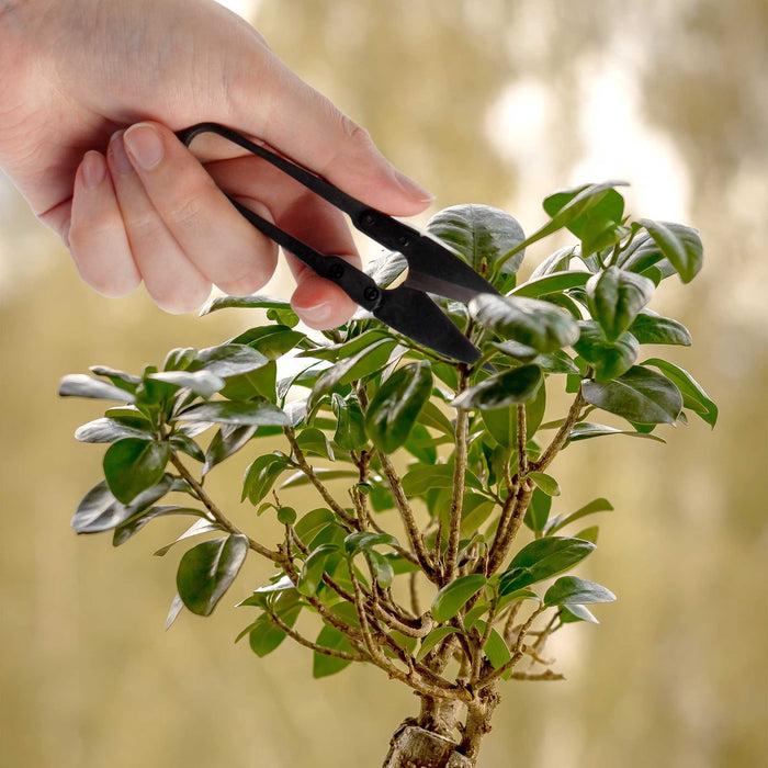 Bamboomn Bonsai 4" Leaf Cutter