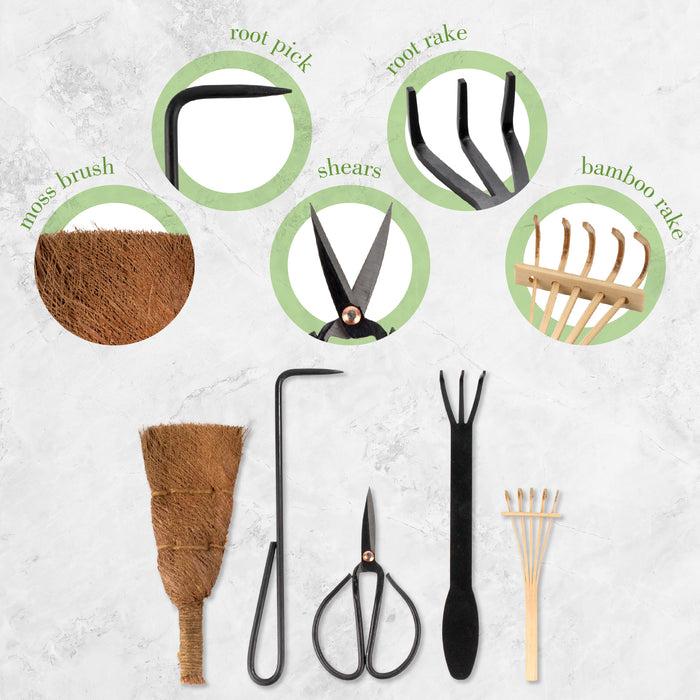 Bamboomn Bonsai 5pc Basic Care Set