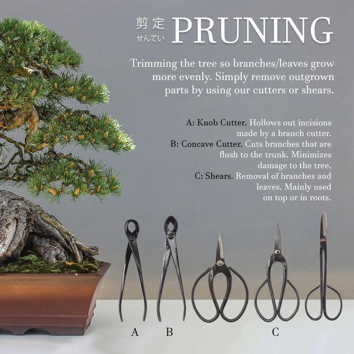 Bamboomn Bonsai 5pc Shear Set