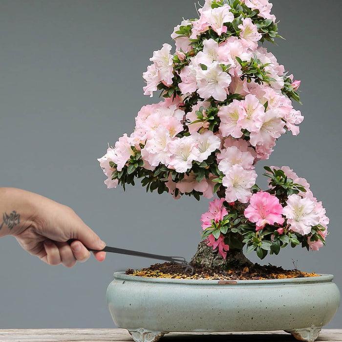 Bamboomn Bonsai 8.5" Root Rake