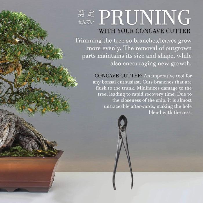 Bamboomn Bonsai 8" Concave Cutter And 8" Knob Cutter