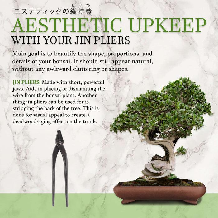 Bamboomn Bonsai 9" Jin Pliers
