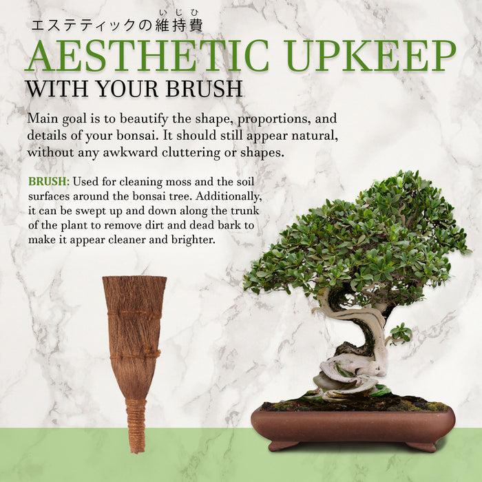 Bamboomn Bonsai Brush