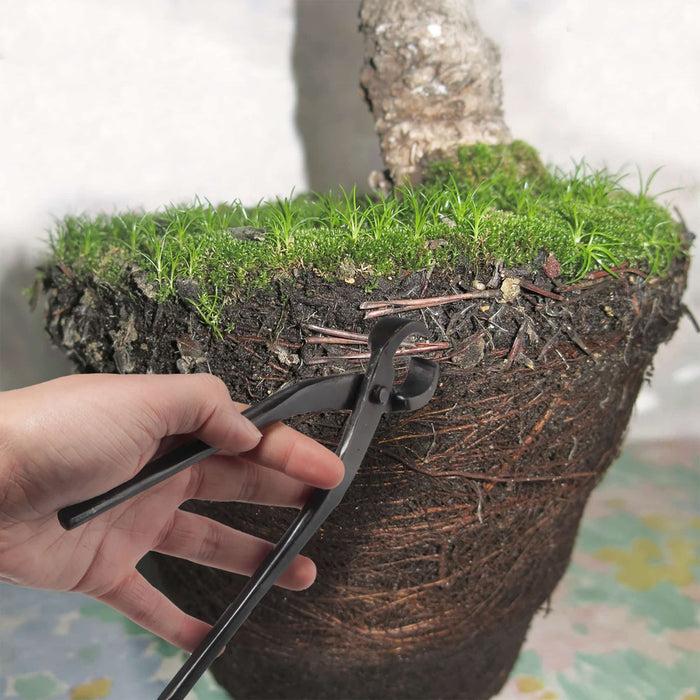 Bamboomn Bonsai Root Cutter