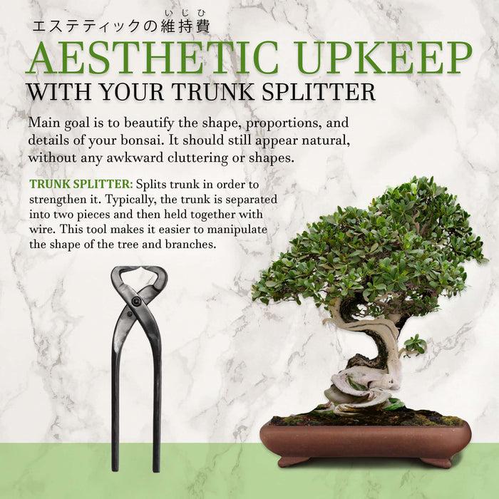 Bamboomn Bonsai Trunk Splitter