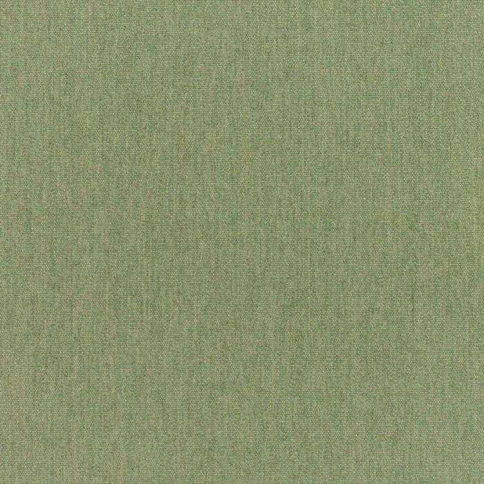 bamboomn Canvas Fern Sunbrella Upholstery Fabric