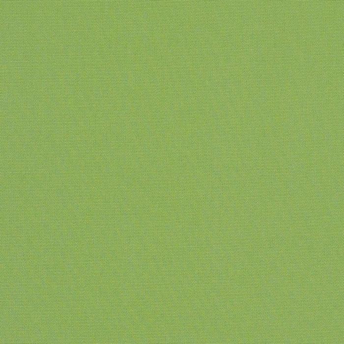 bamboomn Canvas Ginkgo Sunbrella Upholstery Fabric