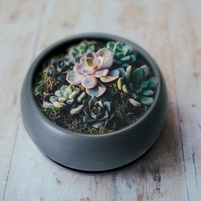 Bamboomn Ceramic Black Round Plant Bowl Pot