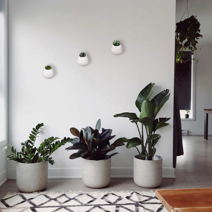 Bamboomn Ceramic Succulent Pot Sets