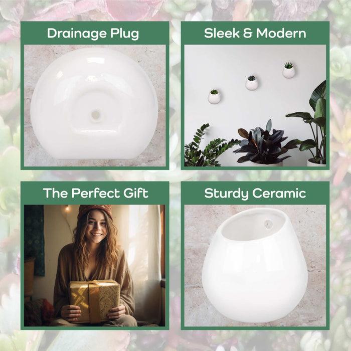 Bamboomn Ceramic Succulent Pot Sets