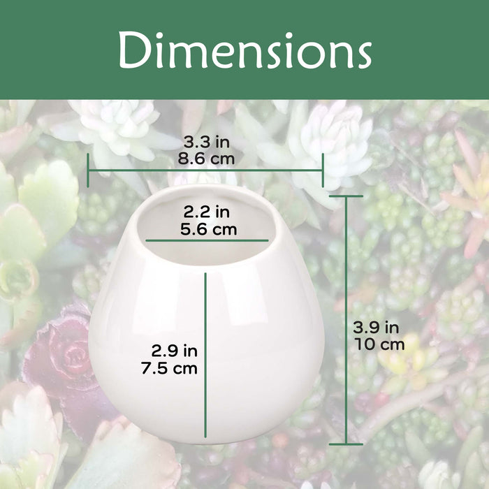 Bamboomn Ceramic Succulent Pot Sets