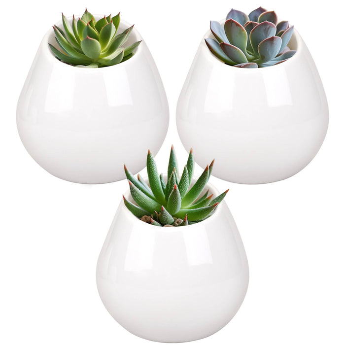 bamboomn Ceramic Succulent Pot Sets