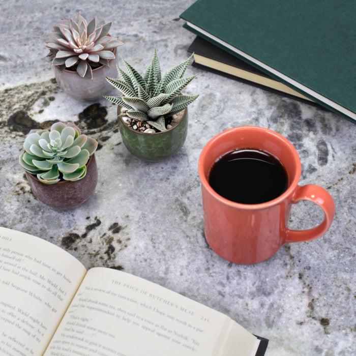 Bamboomn Colored Small Plant Succulent Pots