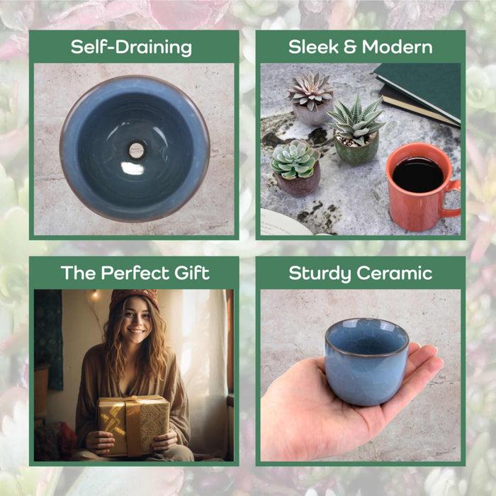 Bamboomn Colored Small Plant Succulent Pots