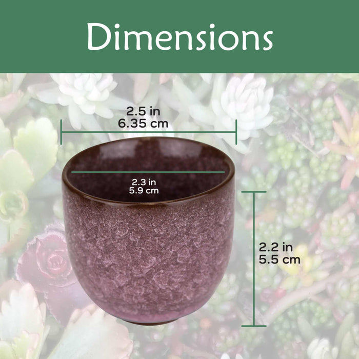 Bamboomn Colored Small Plant Succulent Pots
