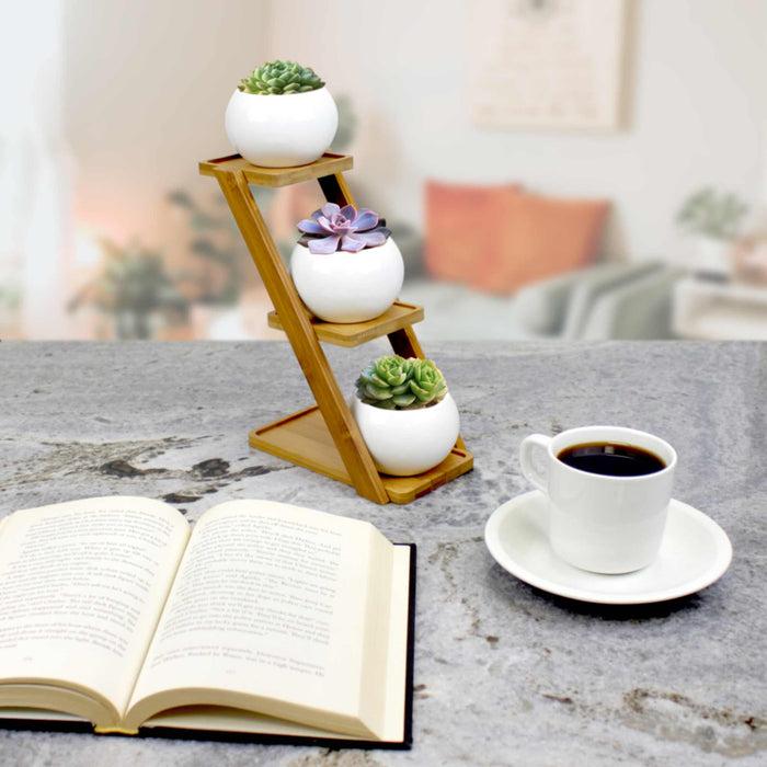 Bamboomn Decorative Succulent Pot Display Set