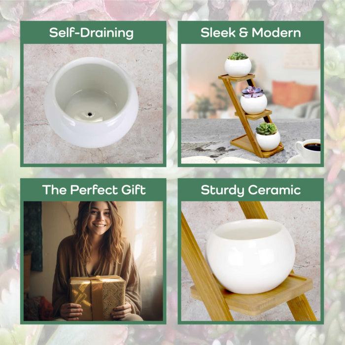 Bamboomn Decorative Succulent Pot Display Set