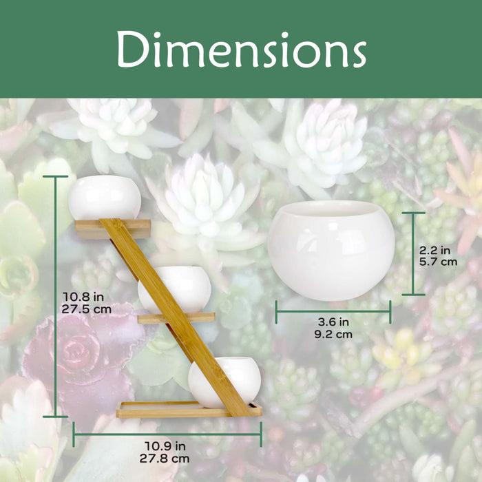 Bamboomn Decorative Succulent Pot Display Set