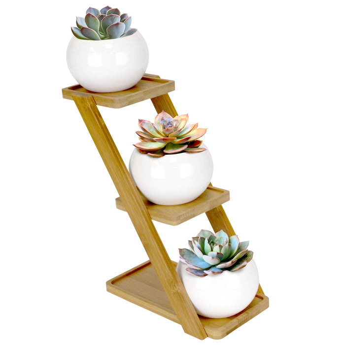 bamboomn Decorative Succulent Pot Display Set