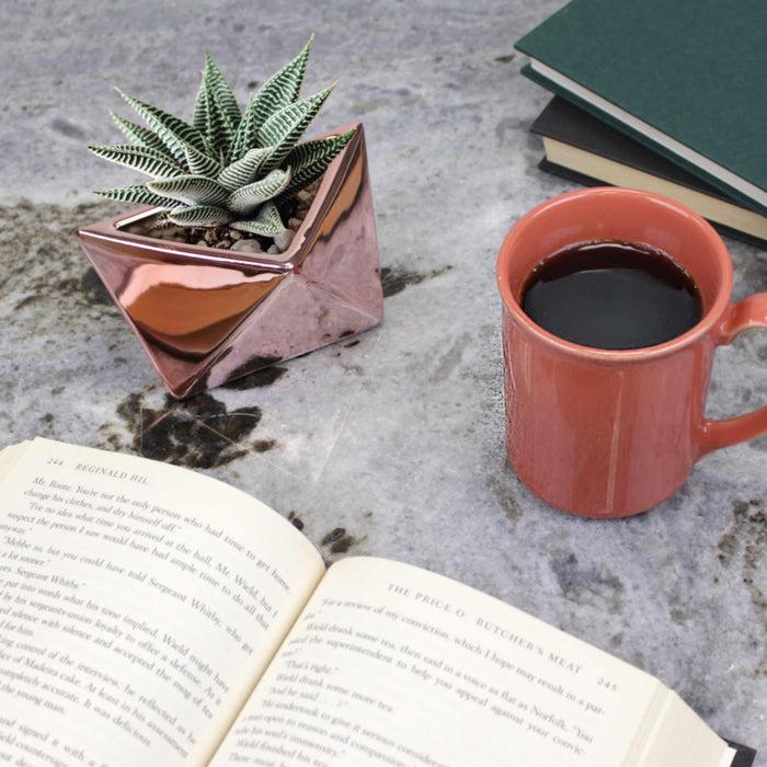 Bamboomn Geometric Shaped Succulent Pots