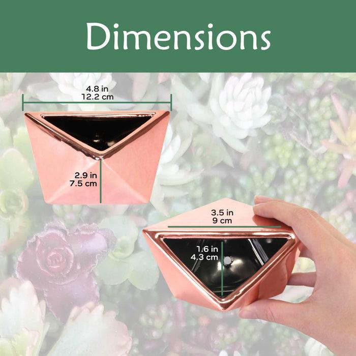 Bamboomn Geometric Shaped Succulent Pots