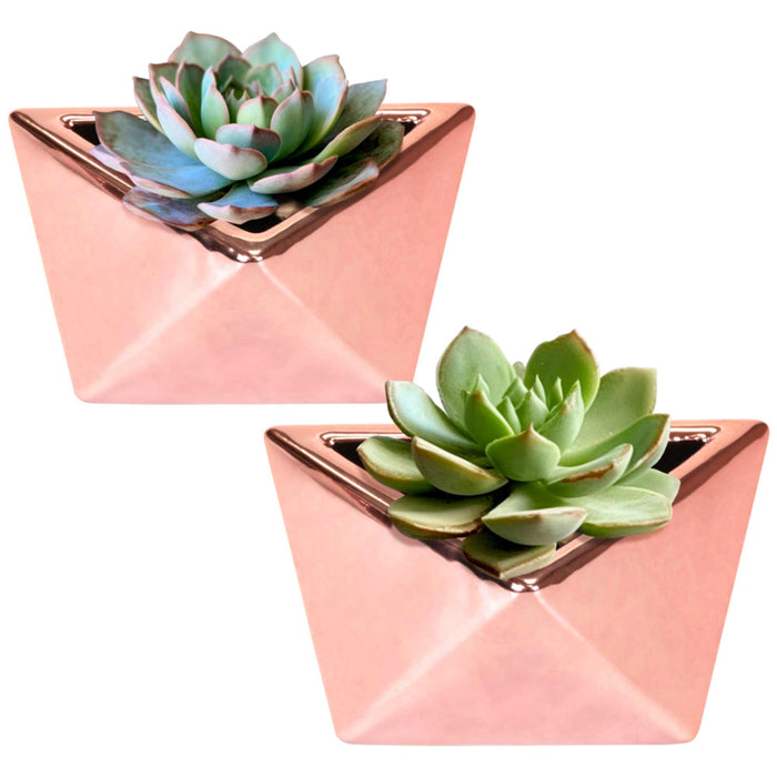 bamboomn Geometric Shaped Succulent Pots