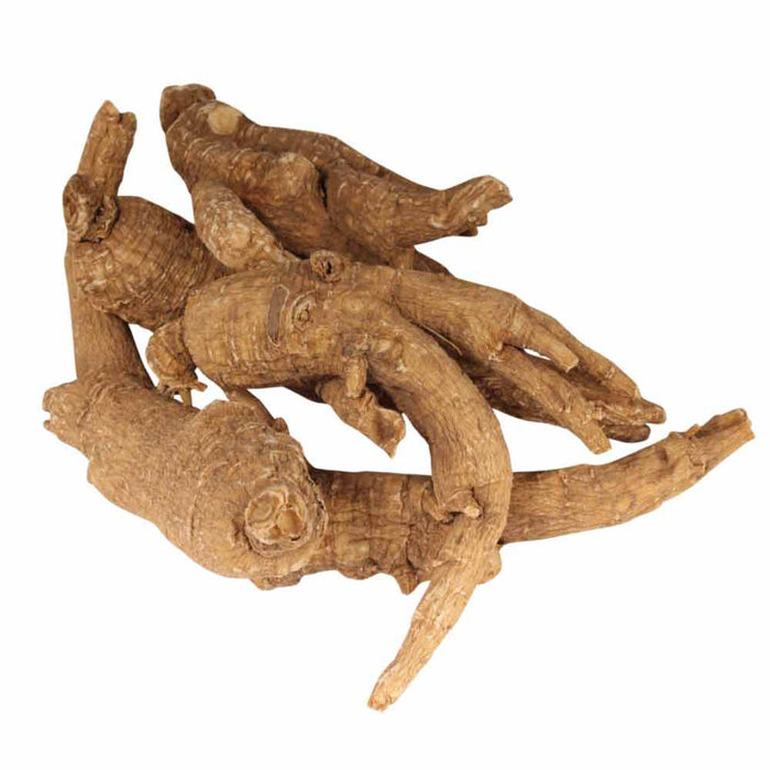 Bamboomn Ginseng Root 4 Year Old