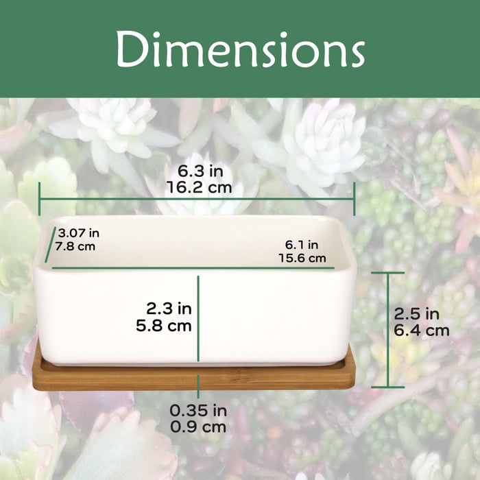 Bamboomn Rectangle Succulent Plant Pots With Tray