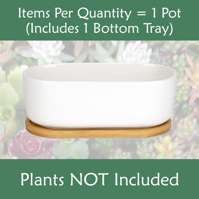 Bamboomn Short Oval Succulent Plant Pot With Tray