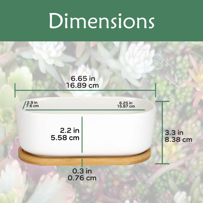Bamboomn Short Oval Succulent Plant Pot With Tray
