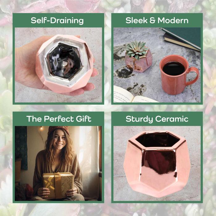 Bamboomn Small Plant Succulent Pots