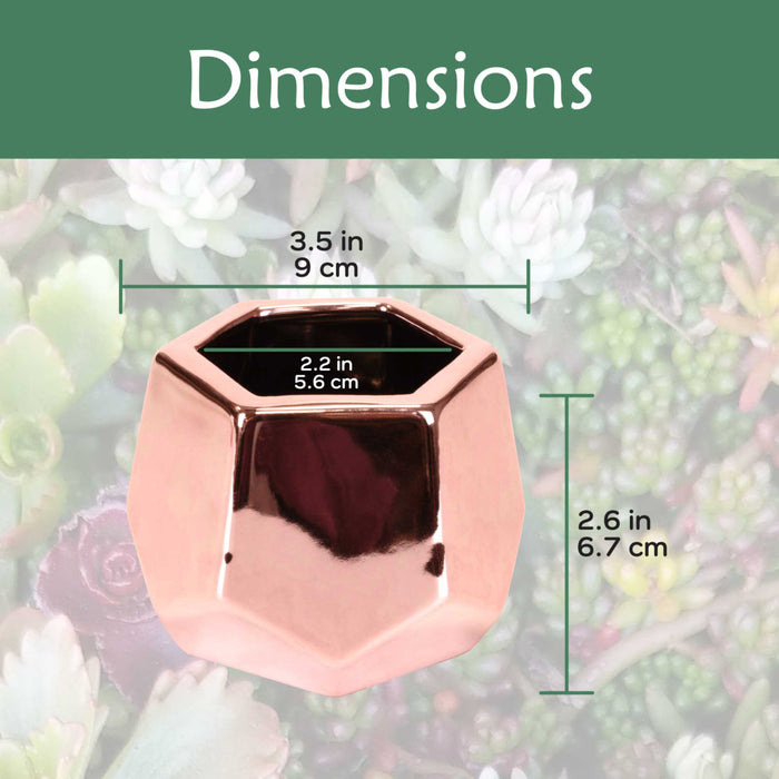 Bamboomn Small Plant Succulent Pots