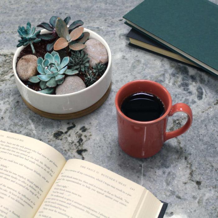 Bamboomn Small Round Succulent Pot With Tray