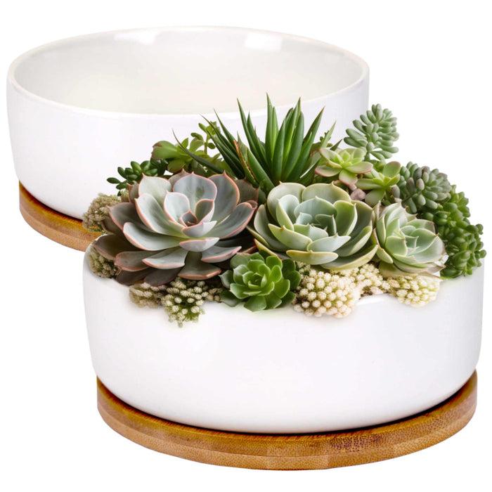 bamboomn Small Round Succulent Pot with Tray