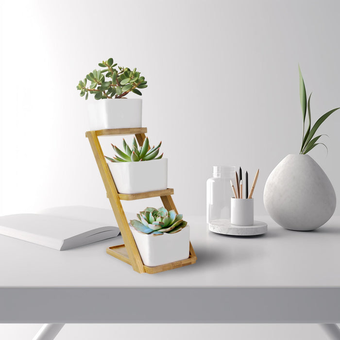 Bamboomn Succulent Pot Plant Display Set