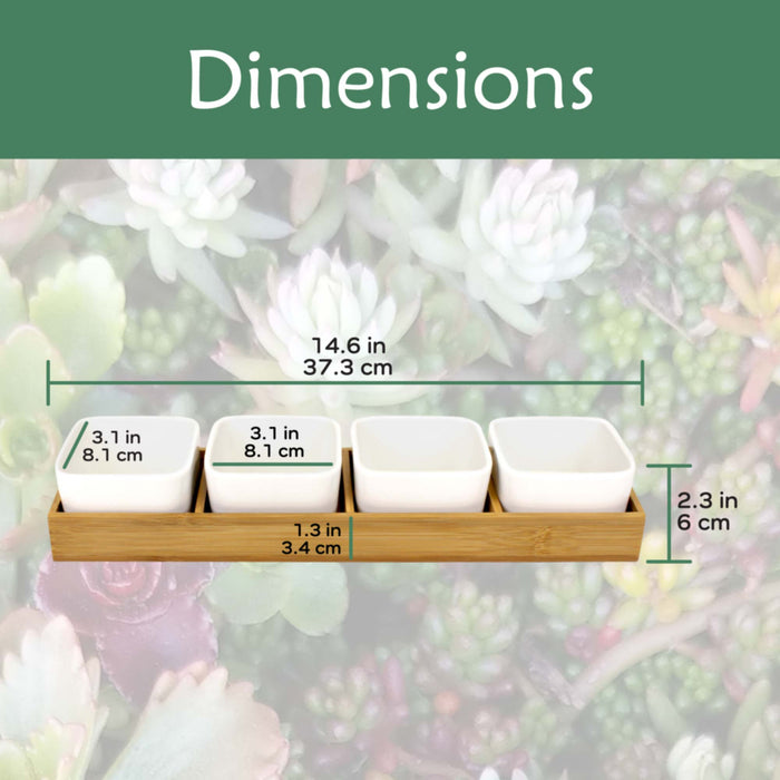 Bamboomn Succulent Pots