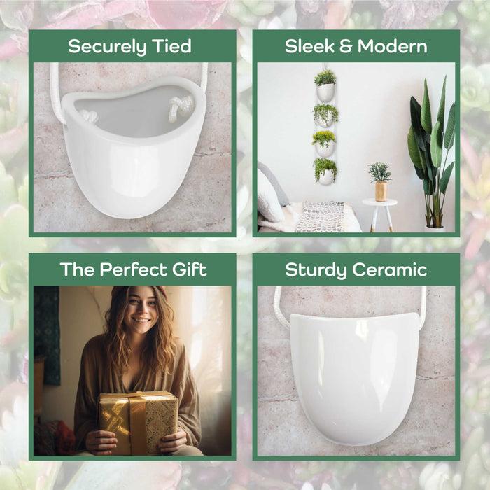 Bamboomn Succulent Pots - 3 Buckets & Ropes