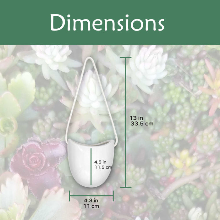 Bamboomn Succulent Pots - 3 Buckets & Ropes