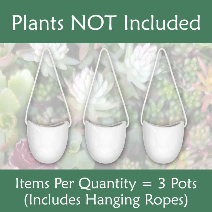 Bamboomn Succulent Pots - 3 Buckets & Ropes