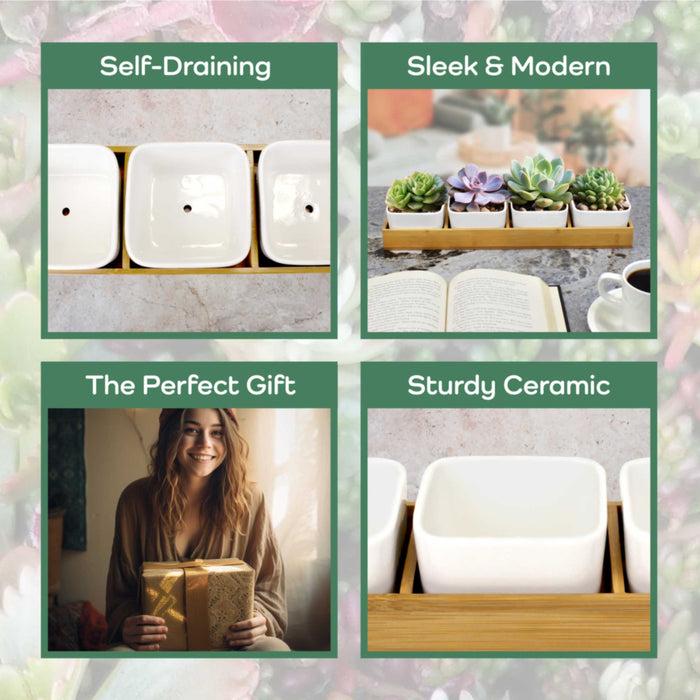 Bamboomn Succulent Pots