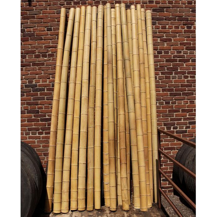 Bamboomn Thick Bamboo Poles 10 Feet Long