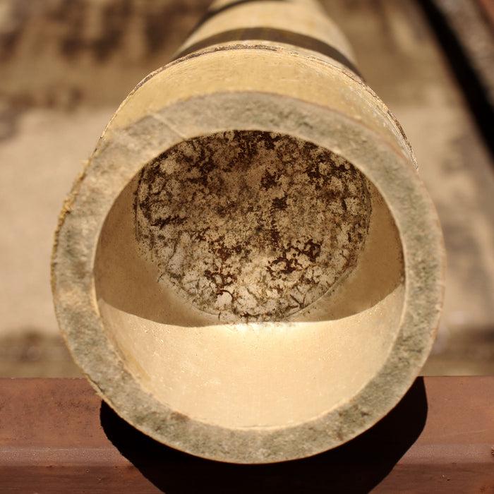 Bamboomn Thick Bamboo Poles 10 Feet Long