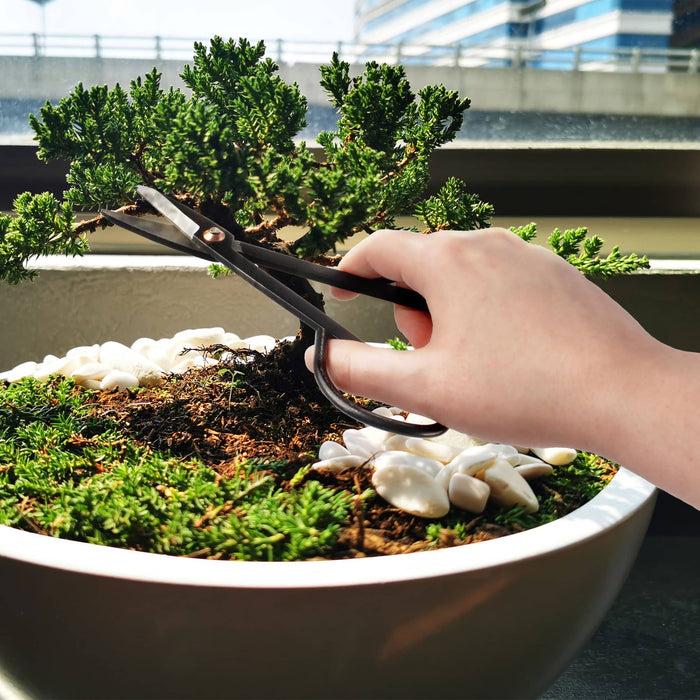 Bamboomn Bonsai 7.2" Trimming Shears And 7" Butterfly Shear