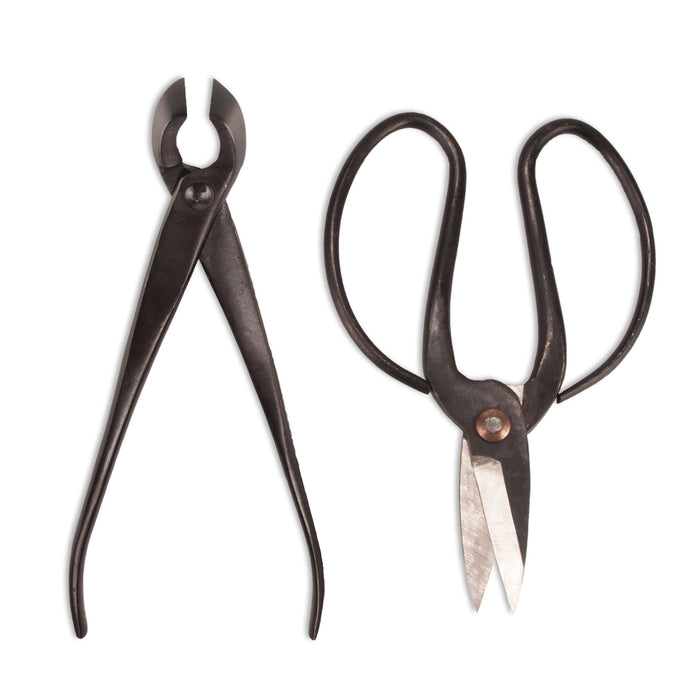 Bamboomn Bonsai Basics Set - 8" Concave Cutter And 7" Heavy Duty Shear