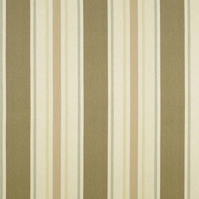 bamboomn Cayman Driftwood Covington Upholstery Fabric