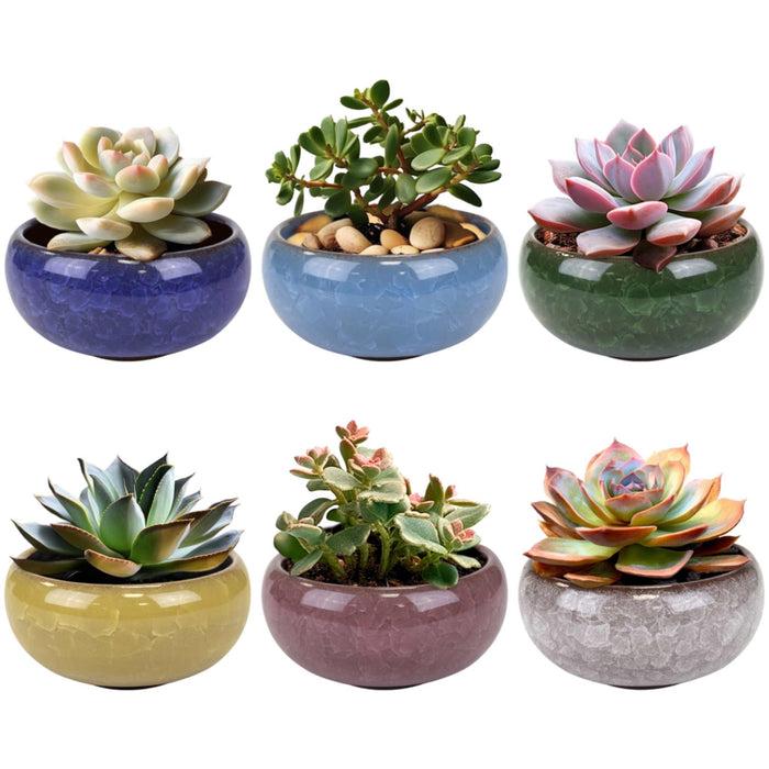 bamboomn Ceramic Colored Small Plant and Succulent Pot Sets