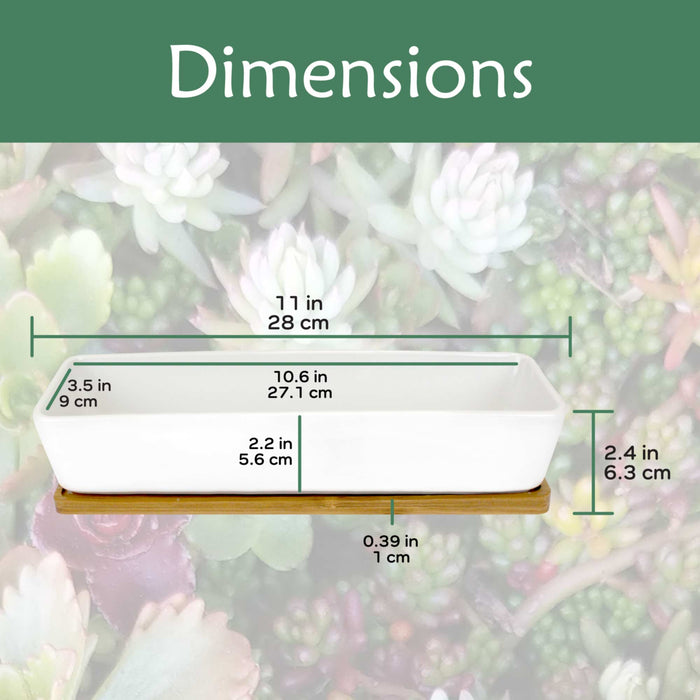 Bamboomn Small Long Rectangular Succulent And Small Plant Pot