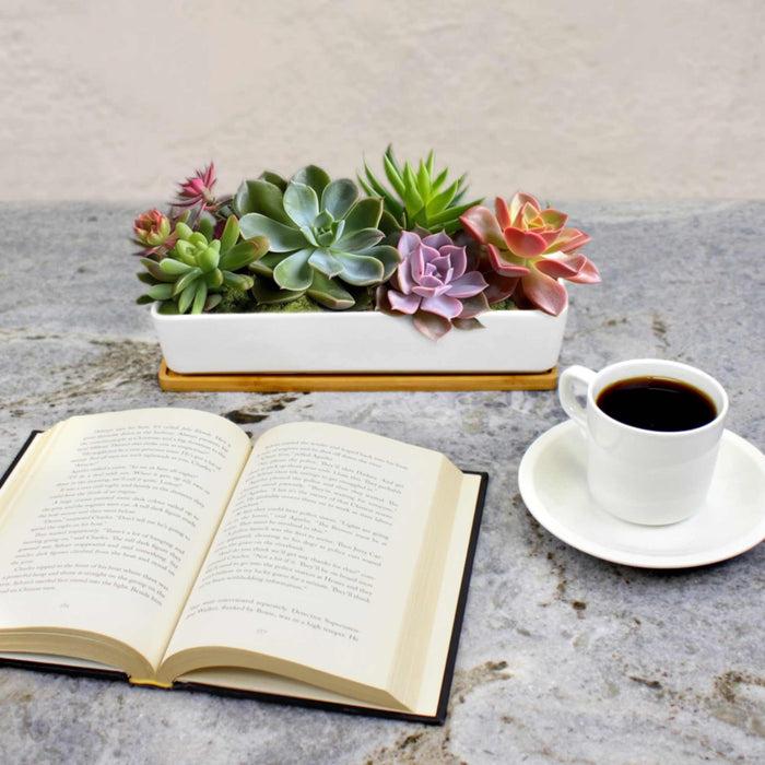 Bamboomn Small Long Rectangular Succulent And Small Plant Pot