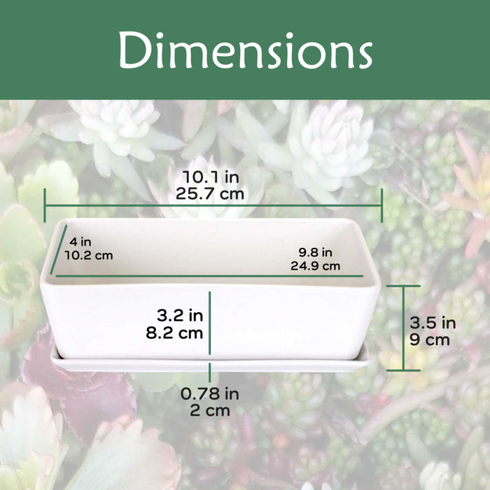 Bamboomn Small White Rectangular Succulent Plant Pot