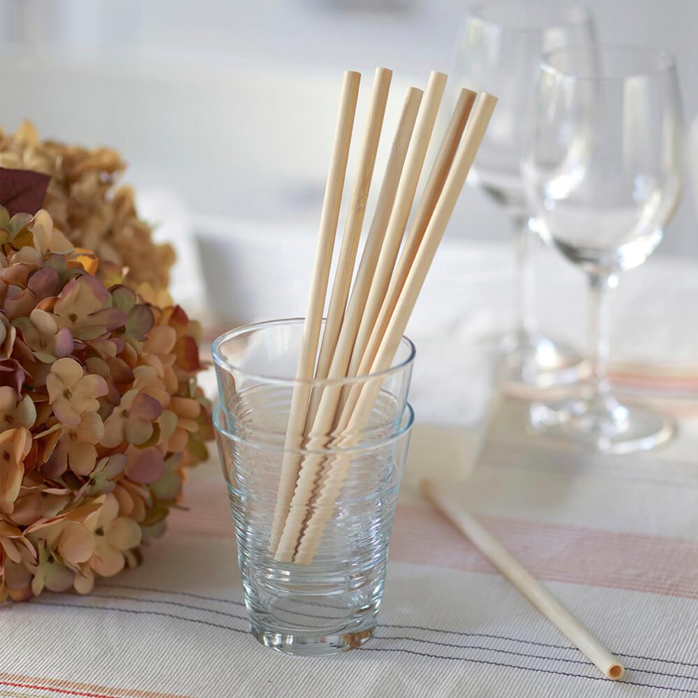 Bambu Disposable Bamboo Straws Bulk Case